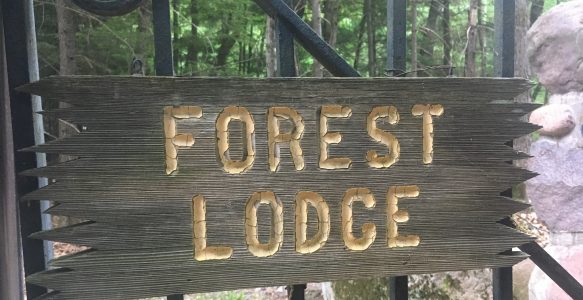 Forest Lodge, WI 2021