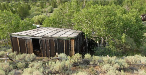 Protected: Lemley Mill, WY 2021
