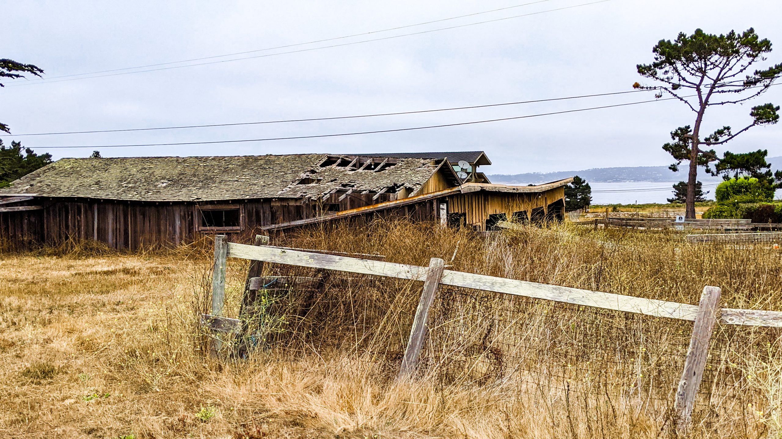 Point Lobos State Natural Reserve Loafing Barn, CA 2023