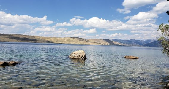 Protected: AHP: Bridger-Teton National Forest Survey, WY 2023