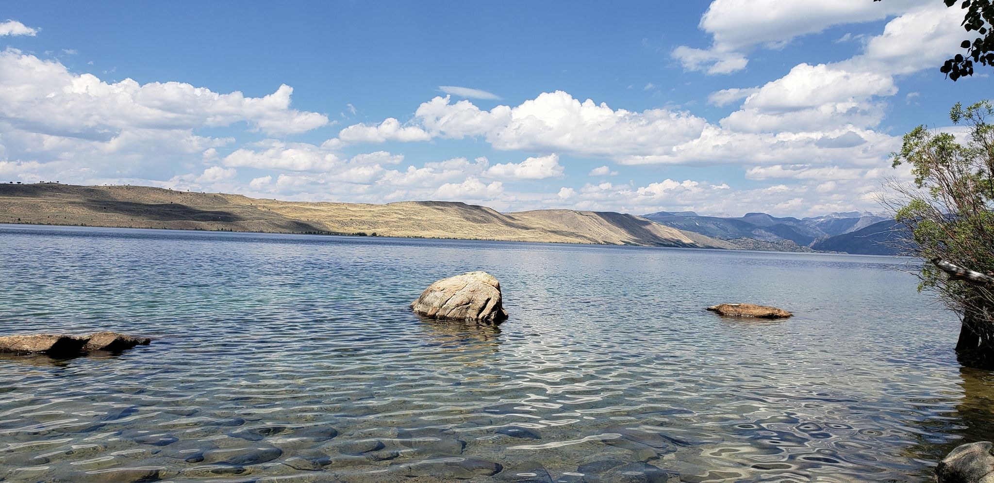 Protected: AHP: Bridger-Teton National Forest Survey, WY 2023