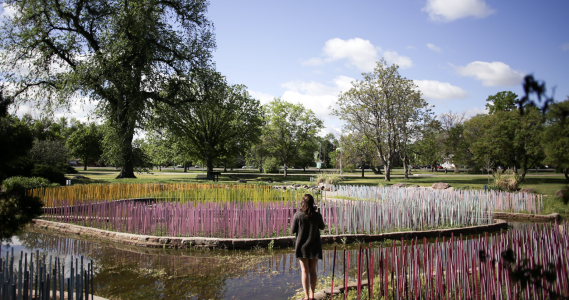 City Park Lily Ponds, CO 2024
