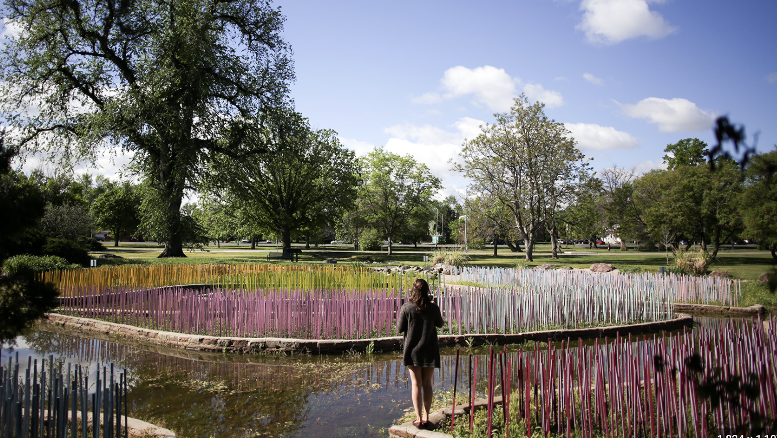 City Park Lily Ponds, CO 2024
