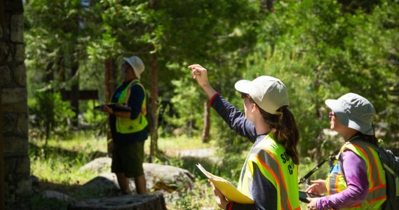 AHP: Stanislaus National Forest Recreation Residence Survey, CA 2026