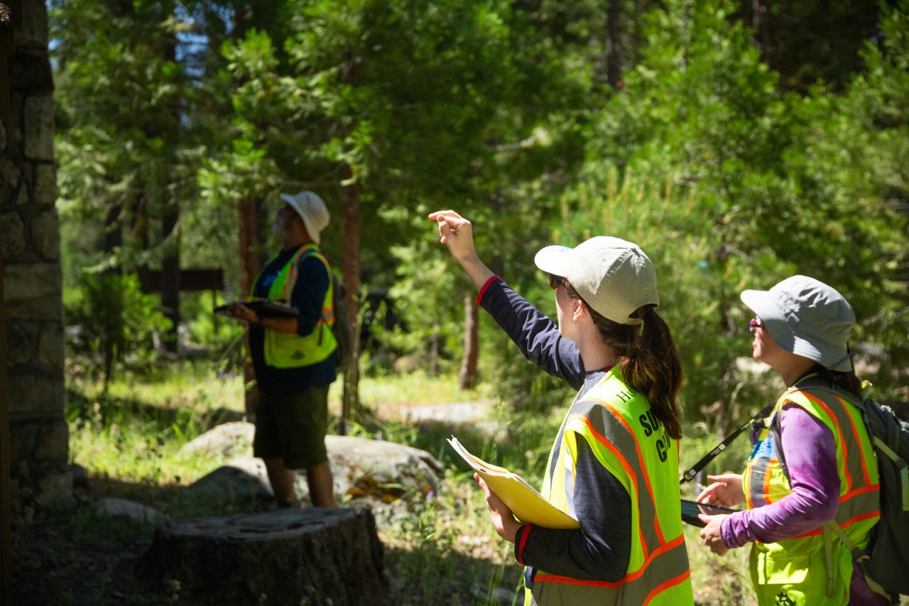 AHP: Stanislaus National Forest Recreation Residence Survey, CA 2026