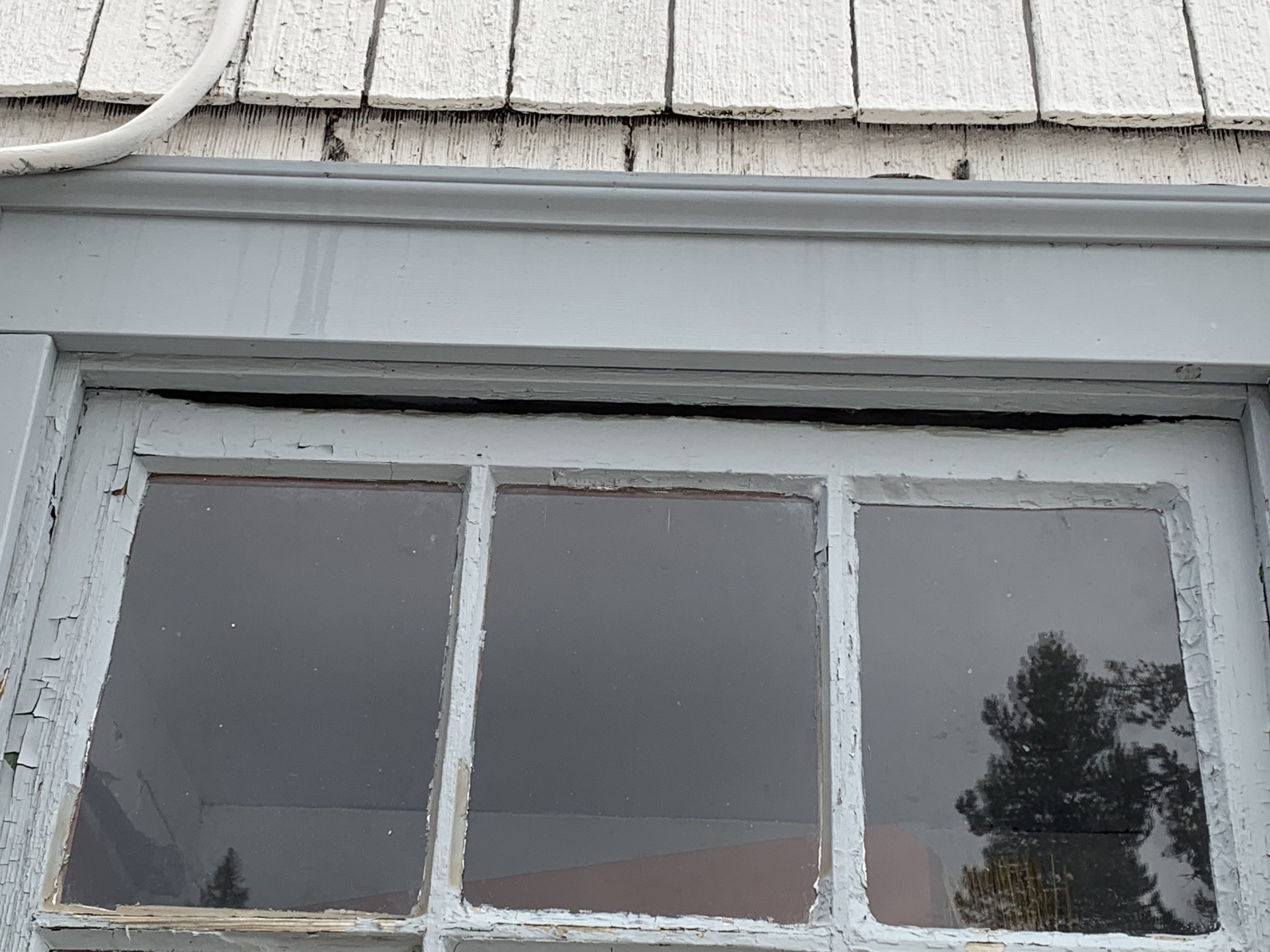 Photo Dec 06 2023, 10 10 02 AM