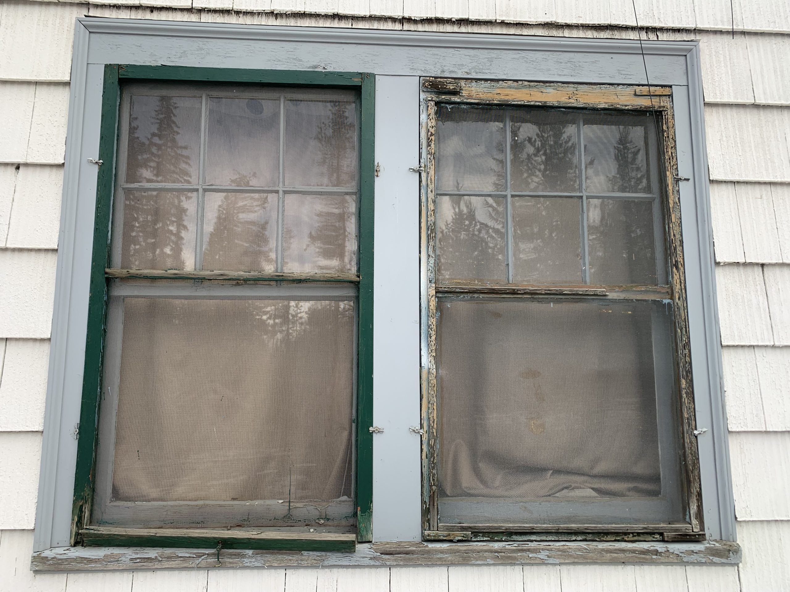 Photo Dec 06 2023, 10 10 36 AM