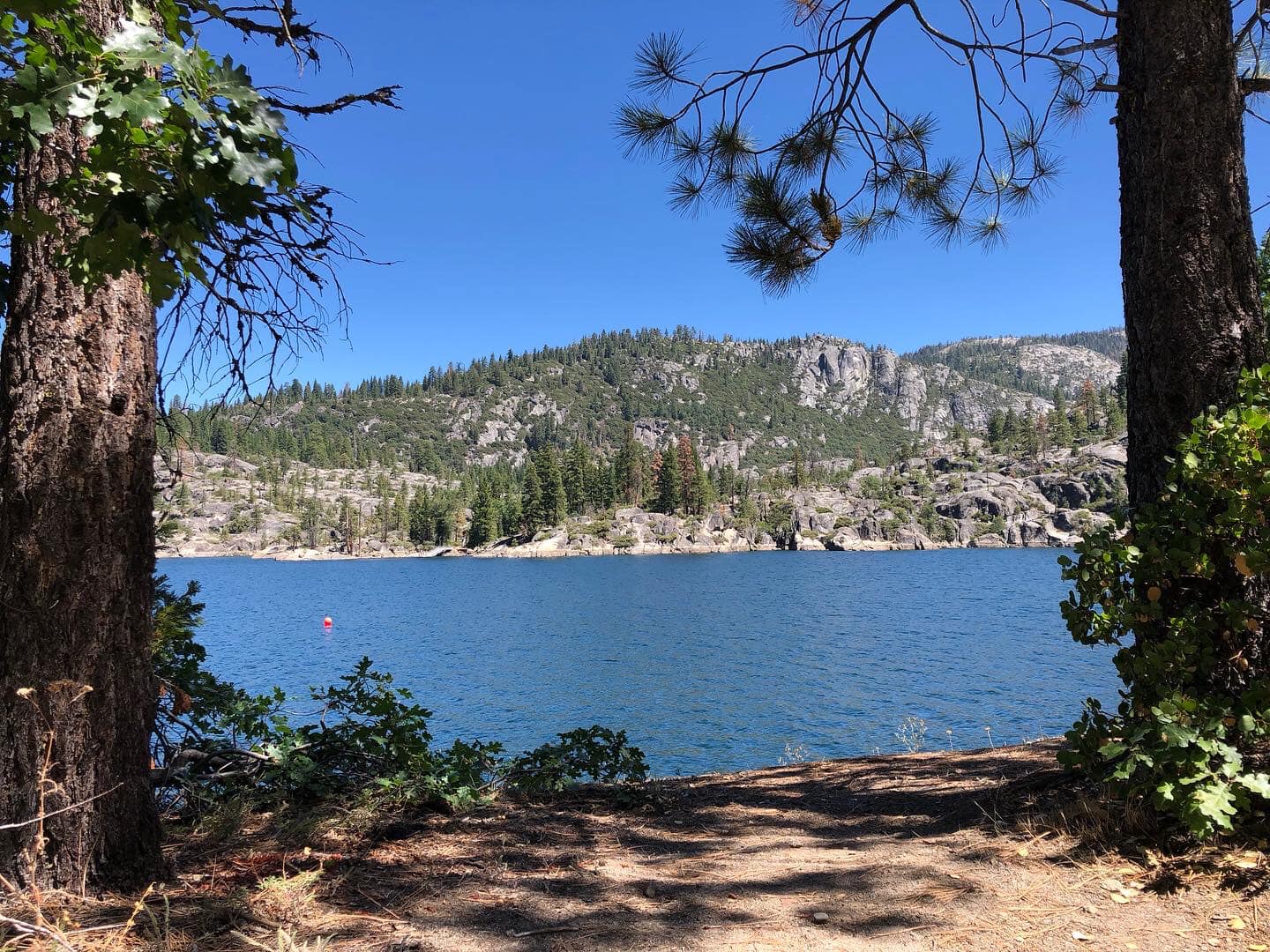 Stanoislaus NF – Pincecrest