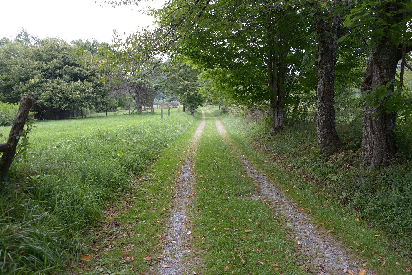 Settlers Museum Farmhouse, VA 2026