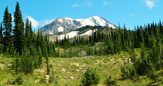 Whitcomb-Cole House, WA 2026